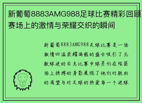 新葡萄8883AMG988足球比赛精彩回顾赛场上的激情与荣耀交织的瞬间