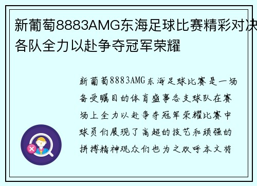 新葡萄8883AMG东海足球比赛精彩对决各队全力以赴争夺冠军荣耀