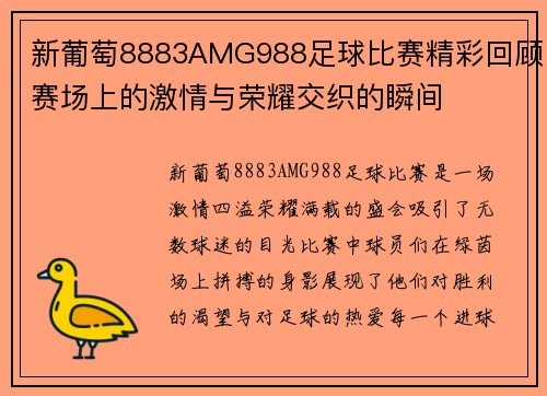新葡萄8883AMG988足球比赛精彩回顾赛场上的激情与荣耀交织的瞬间