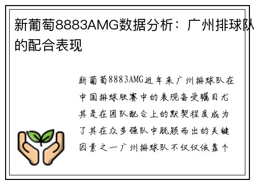 新葡萄8883AMG数据分析：广州排球队的配合表现