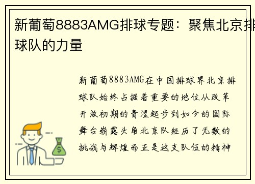 新葡萄8883AMG排球专题：聚焦北京排球队的力量