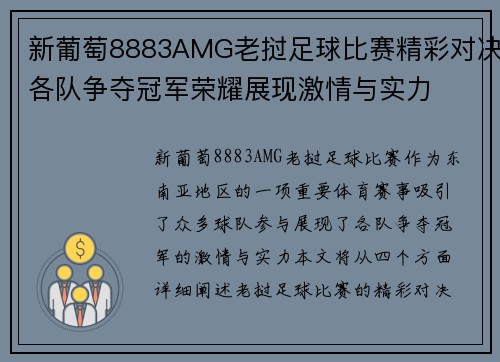 新葡萄8883AMG老挝足球比赛精彩对决各队争夺冠军荣耀展现激情与实力